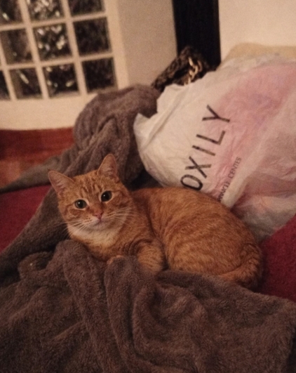 Imagen 1 del anuncio de @javier32982 en duduo.